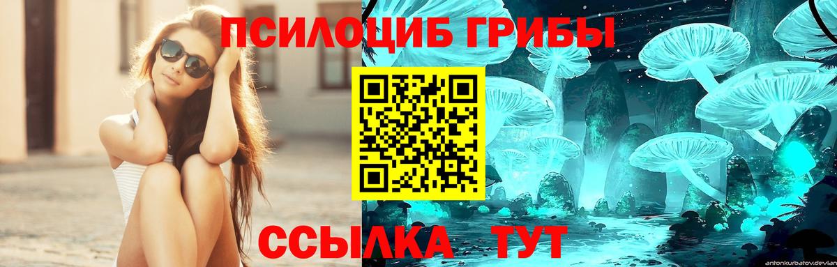 даркнет сайт  Псилоцибиновые грибы мицелий  Вход с VPN  Апрелевка  Галлюциногенные грибы мицелий 
